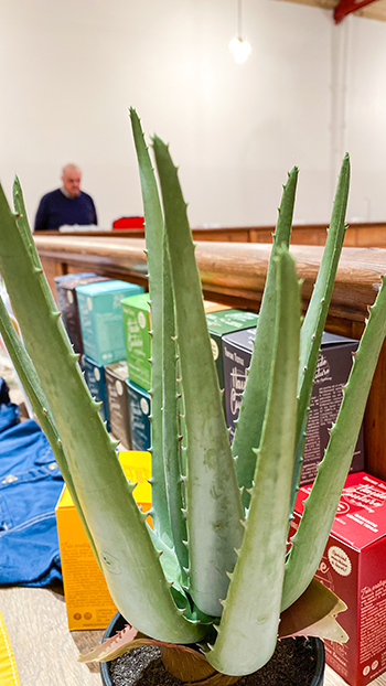 2e édition diy festival stand haute couture Boîte teinture vêtement multicolore